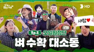 [HD현대오일뱅크] 서산의 황금빛 들녘! 쌀 수확하러 일단 가봤습니다🌾ㅣ[오늘도 일단 가봄] Ep. 5