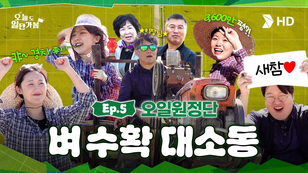 [HD현대오일뱅크] 서산의 황금빛 들녘! 쌀 수확하러 일단 가봤습니다🌾ㅣ[오늘도 일단 가봄] Ep. 5